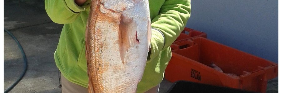 Woensdag het Dixie Walsh die manne lelik laat les opsÃª toe sy hierdie mooi silwervis van 3.25 kg. vanaf die boot Releks 2 gevang het. Dit sÃª sy, gaan beslis in haar â€œbragboekâ€ â€˜n ereplek kry. Mooi, so!